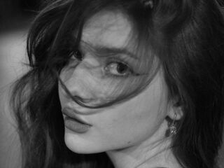 free live chatroom VelvetMeow
