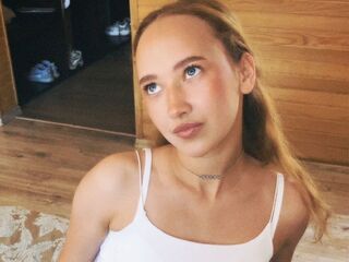 hardcore show VeniceMidden